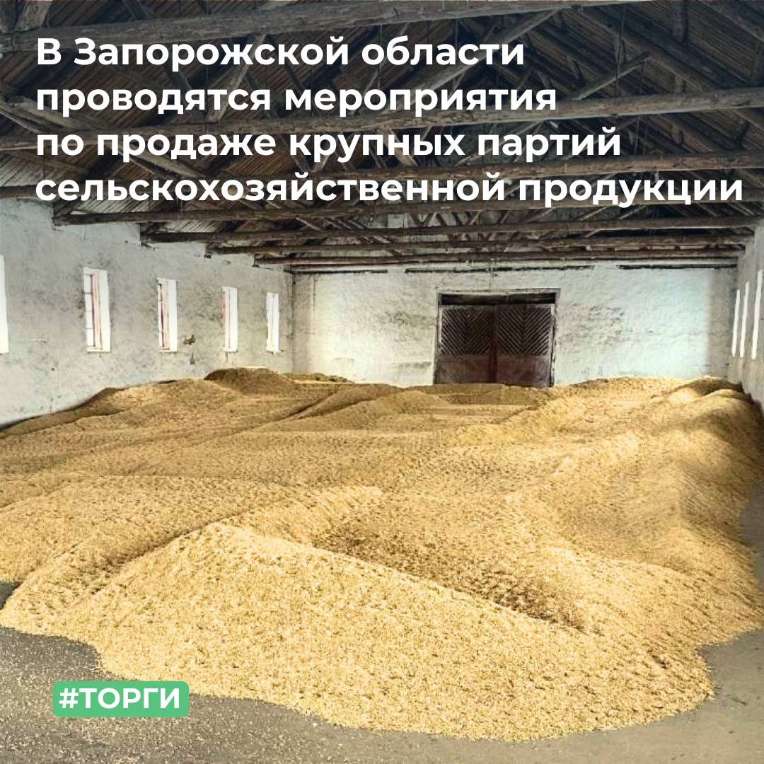 photo_2026-02-05_11-55-24